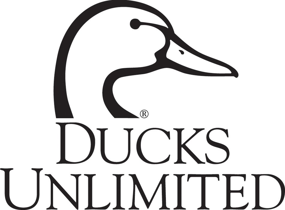 The Federal Duck Stamp drawing