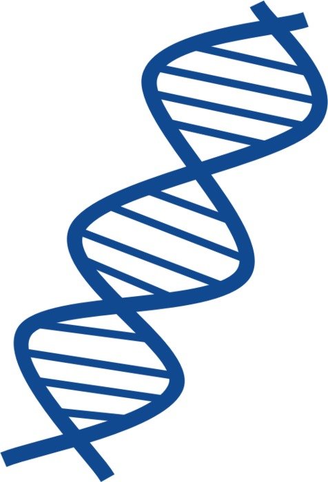 MEDIUM IMAGE PNG N11
