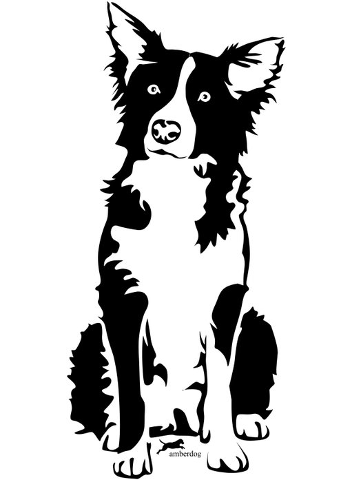 painted Border Collie