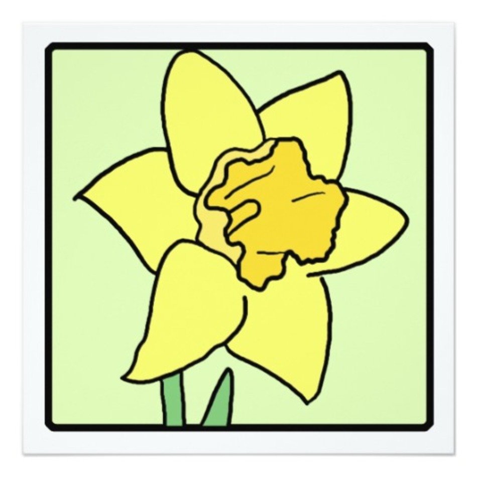 Cartoon Daffodil Spring Garden Flower 525x525 Square Paper