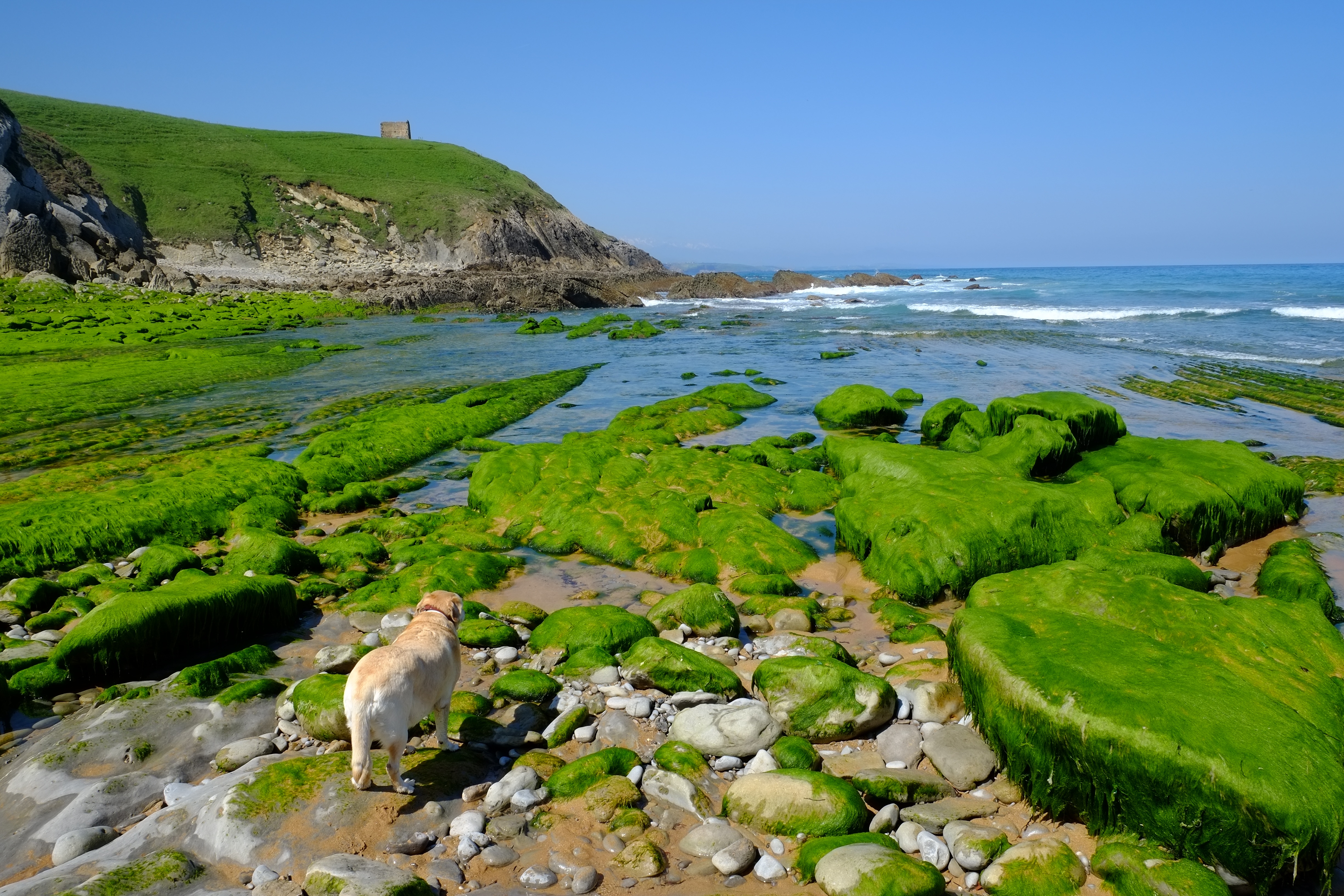 Cantabria Испания