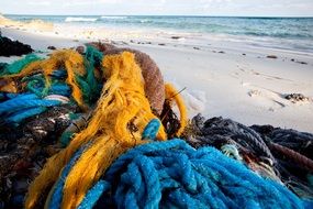 yellow and blue rope on the beach