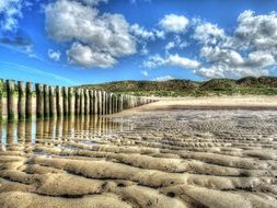 dune sea beach on a sunny day