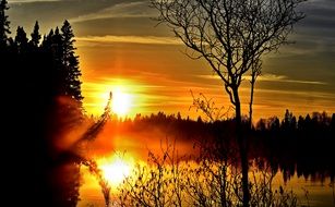 sunset landscape twilight tree summer day