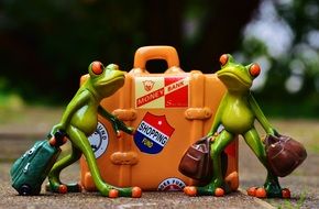 funny frog figures travel holiday