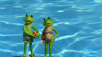 frog summer in funny figures