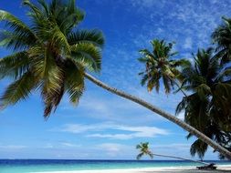 maldives beach paradise