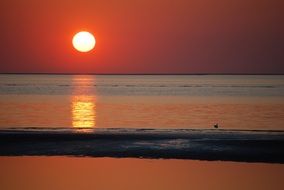 bright sun on a red sky at sunset over the ocean