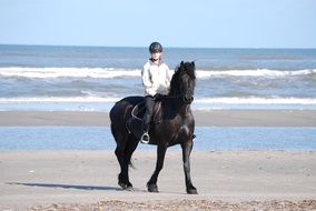 woman riding a horse on the beach