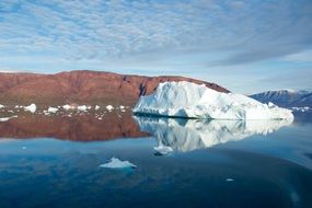 iceberg swimming in the ocean