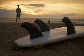 man near the surfboard
