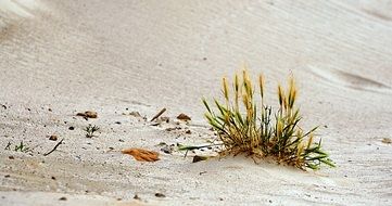 gorgeous sand beach