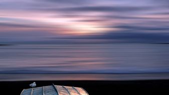 new zealand kaikoura sunrise
