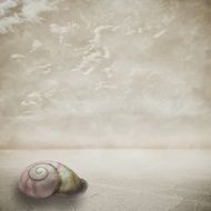 fantasy shell in pastel color background