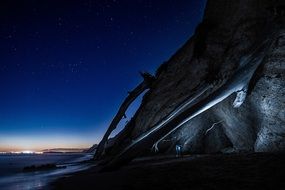 fallen trees at cliff on sea coast at night