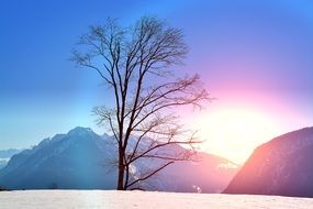 wintry sunset lighting
