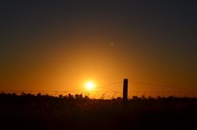 golden sunset over the fence net