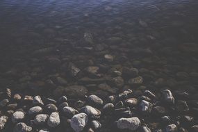 wild rocky beach close-up