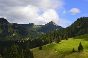 landscape of green nature in Austria