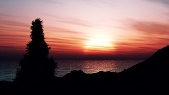 delightful pink sunset at sea