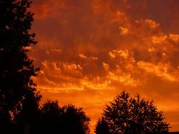 orange fire clouds above the forest