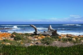 stone beach in south africa