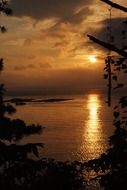 Horizon with the sunset