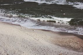 beach sand and oceanic waves