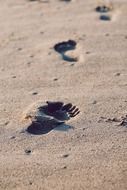 footprints on sand beach