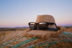 Funny hipster hat sunglasses beach coast