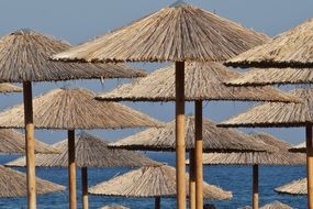 sun umbrellas bamboo