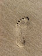 footprint on wet sand