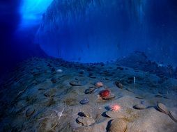 ice wall in the cold sea of antarctica