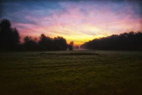 morning fog over the meadow during sunrise