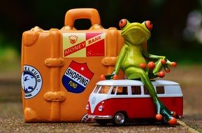 funny figure of the frog travel holiday