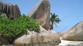 granite rock in the seychelles