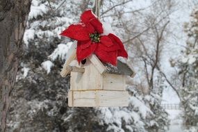 bird house with red flower