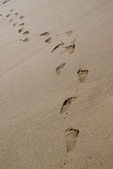 human footprints in the sand of a beach