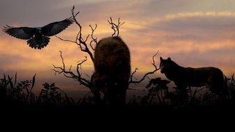 wolves and birds of prey at sunset