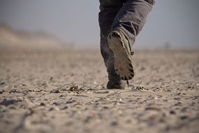 shoes of person walking on sand