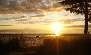 Scenic sunset