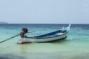 Blue and white boat on the shore
