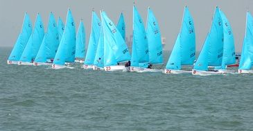 sailboats race