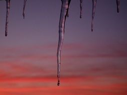 melting icicle in the evening