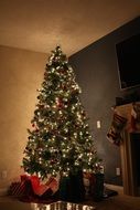 magical christmas tree