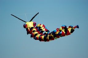 Colorful kite in a sky