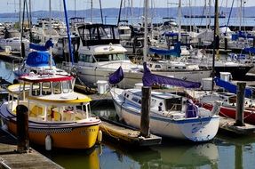 Yachts in San Francisco