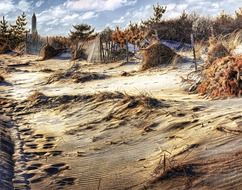 a panorama of shrubs and sand dunes at Jones Beach State Park