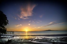 sun rise beach in new zealand auckland murrays bay