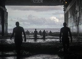 silhouettes of swimmers on the background of the ocean